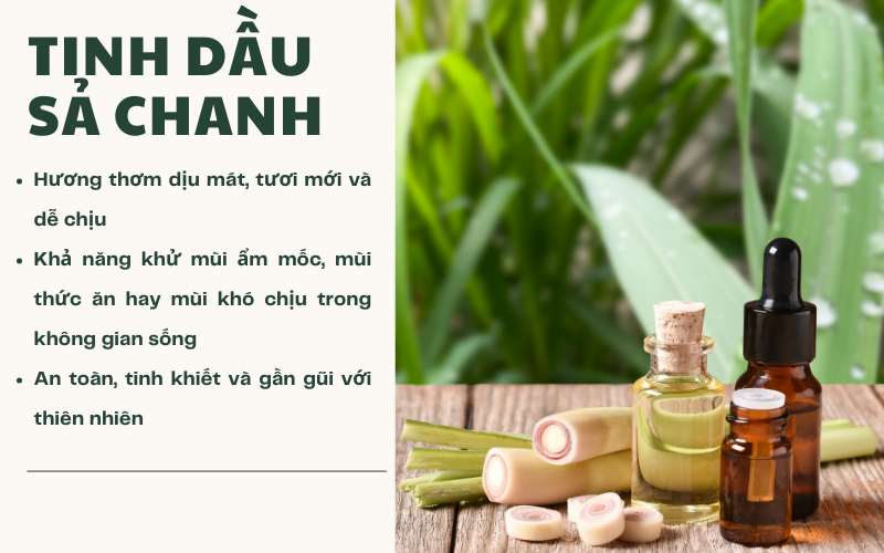 Lợi Ích Của Tinh Dầu Sả Chanh Trong Nước Rửa Chén